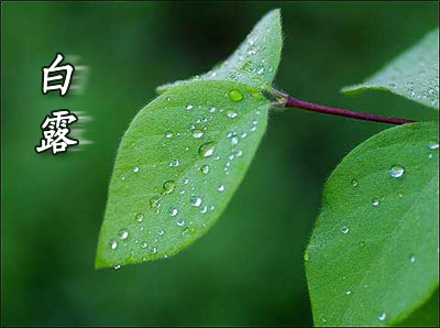 露從今夜白，月是故鄉明
